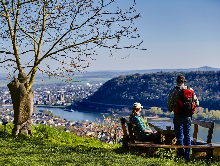 Entschleunigung am Mittelrhein – Zwischen Wandern, Wellness und Wein den Urlaub genießen