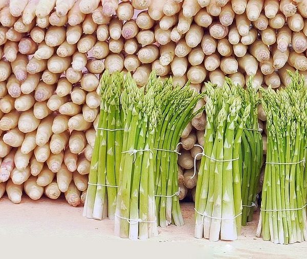 Spargelrezepte für Genießer!