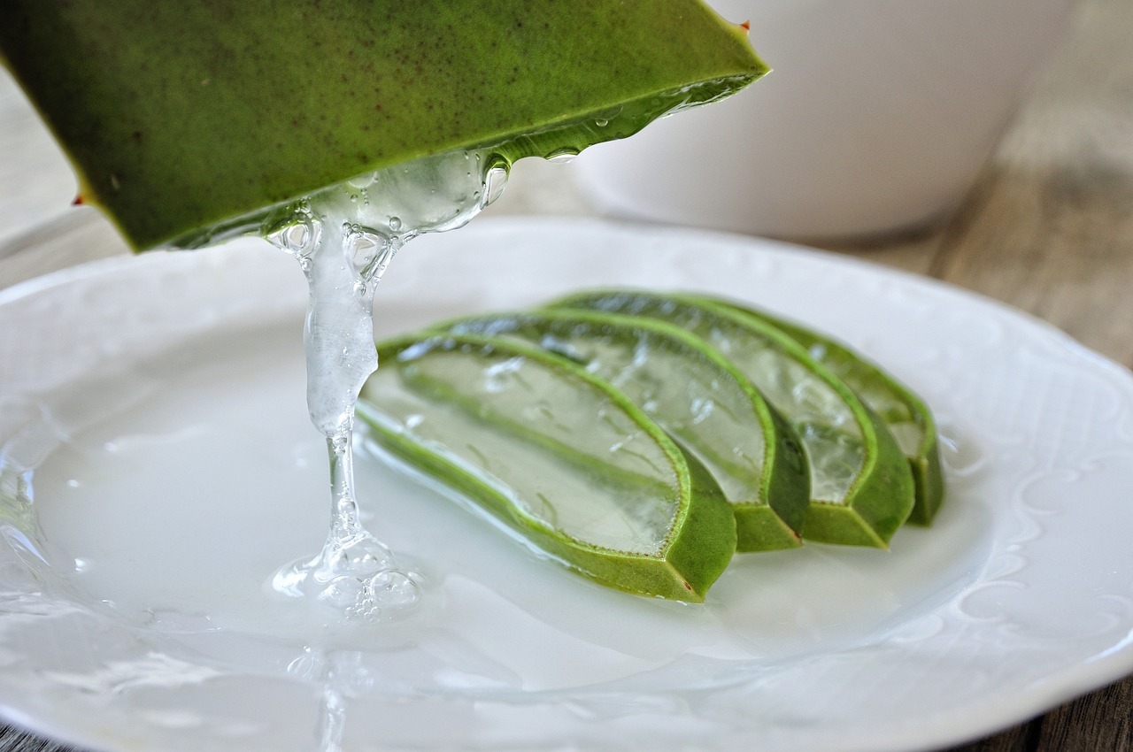 Aloe Vera: Die Wunderpflanze fr Gesundheit und Schnheit |  berlinerin.online