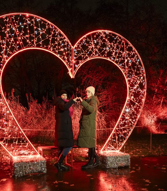 Winterzauber in Berlin: Christmas Garden & Tierpark 2025