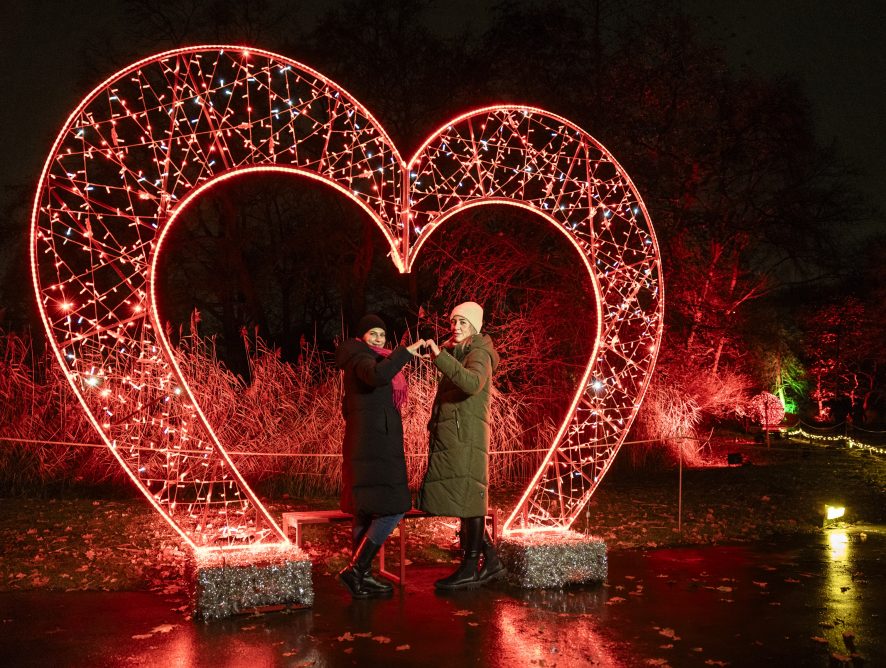 Winterzauber in Berlin: Christmas Garden & Tierpark 2025