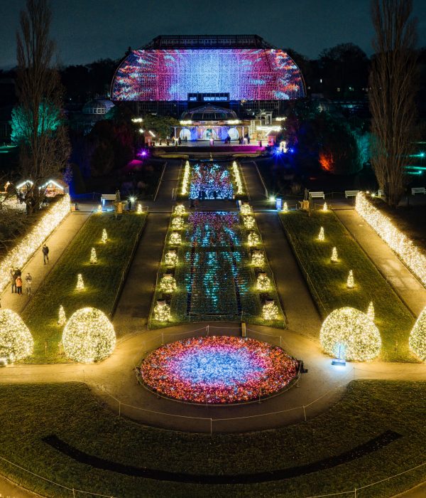Christmas Garden Berlin: Winterzauber in funkelnden Lichtern
