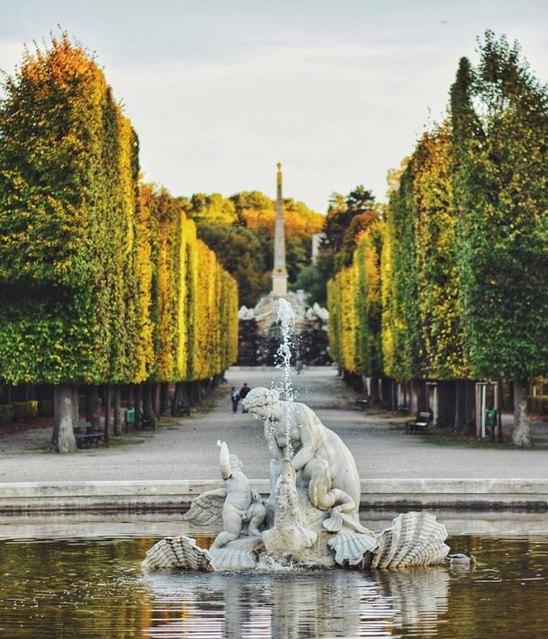 Wien Städtetrip: Kultur, Genuss und Highlights entdecken