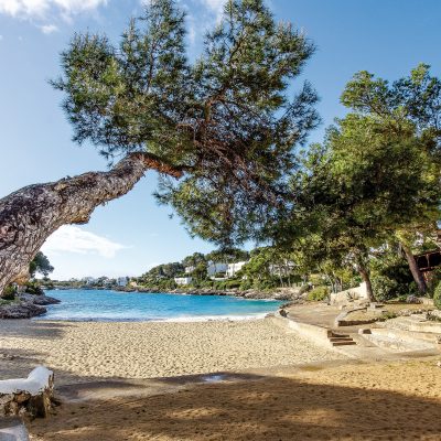 Mallorca abseits der großen Strände: Traumhafte Buchten im Überblick