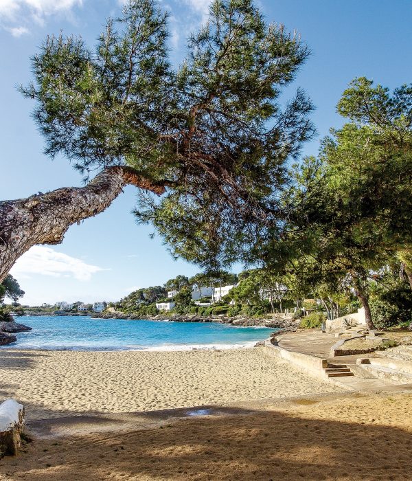 Mallorca abseits der großen Strände: Traumhafte Buchten im Überblick