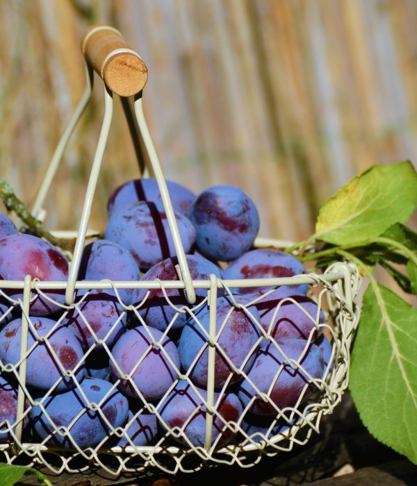 Zwetschgen Saison: Rezepte & Genussideen für den Spätsommer