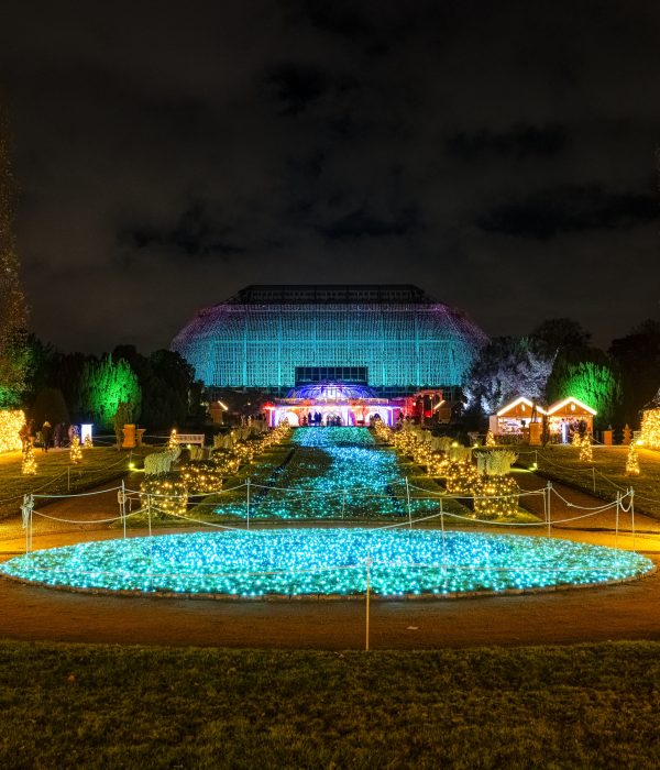 Wenn Berlin wieder leuchtet: Christmas Garden und Weihnachten im Tierpark